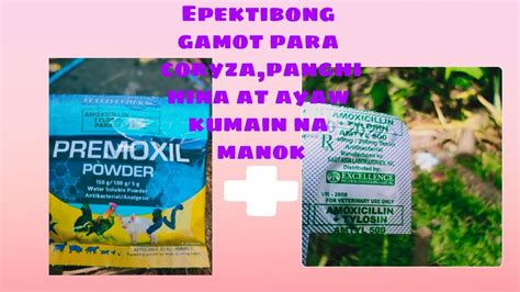 pinakamabisang gamot sa coryza|Trisullak .